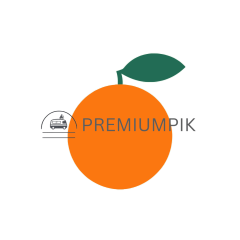 Orange icon png